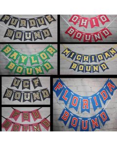 Custom College Bound Banner, Any School Banner, Pick your school colors